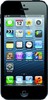 Apple iPhone 5 16GB - Тюмень